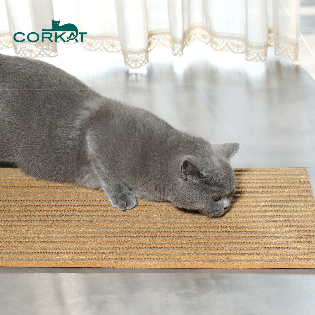 Cat Scratch Pad